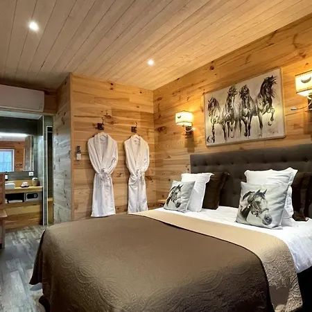 Hotel Domaine De 3*