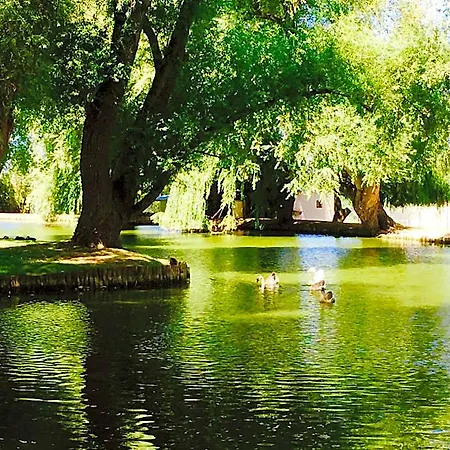 Domaine De Hotel