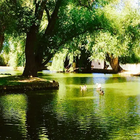 Domaine De Roullet