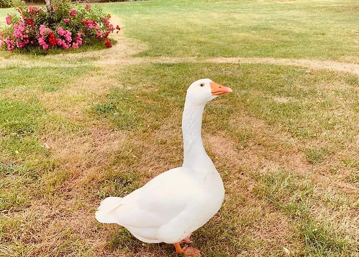 Domaine De Hotel Roullet